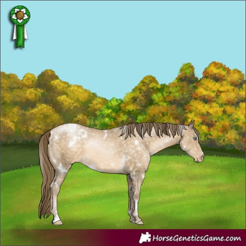 Horse Color:White Spotted Buckskin Pearl Snowflake Varnish