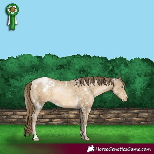 Horse Color:White Spotted Buckskin Pearl Snowflake Varnish