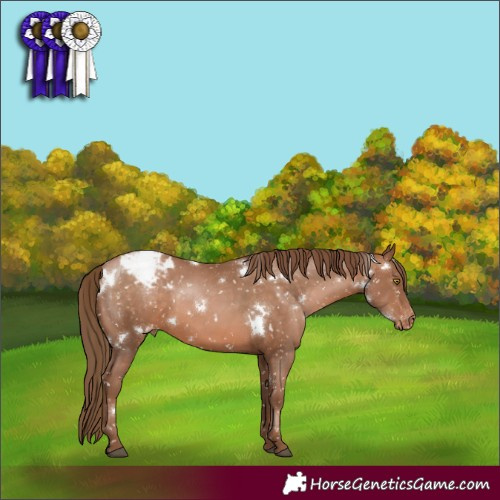 Horse Color:White Spotted Brown Pearl Snowflake Varnish