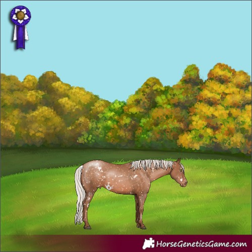 Horse Color:White Spotted Silver Brown Pearl Snowflake Varnish
