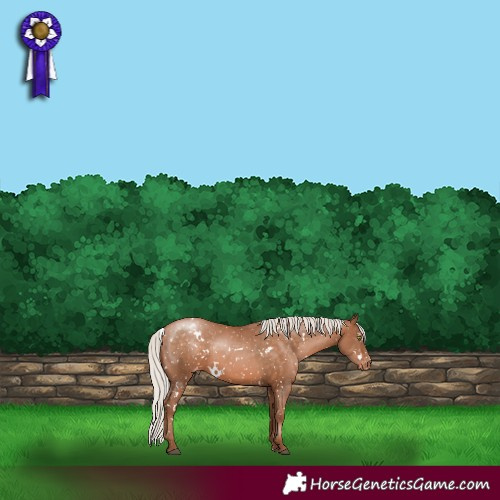 Horse Color:White Spotted Silver Brown Pearl Snowflake Varnish