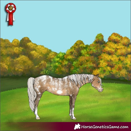 Horse Color:Powder White Gray White Spotted Silver Buckskin Pearl Frame Snowflake Varnish 