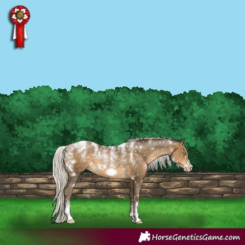 Horse Color:Powder White Gray White Spotted Silver Buckskin Pearl Frame Snowflake Varnish 