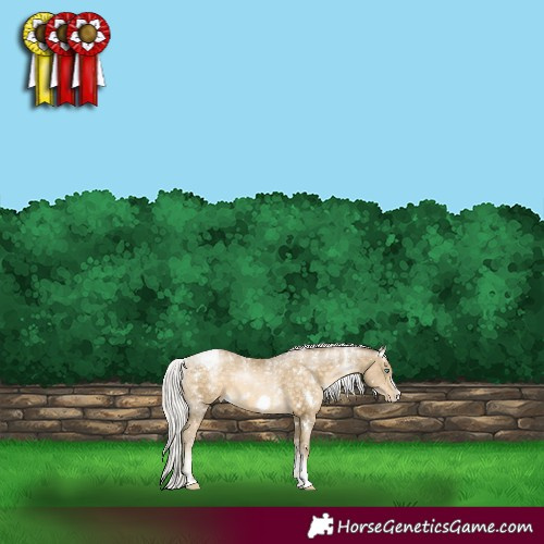 Horse Color:Powder White White Spotted Silver Buckskin Pearl Frame Snowflake Varnish 