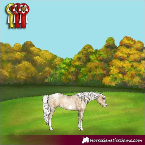 Horse Color:Powder White White Spotted Silver Buckskin Pearl Frame Snowflake Varnish