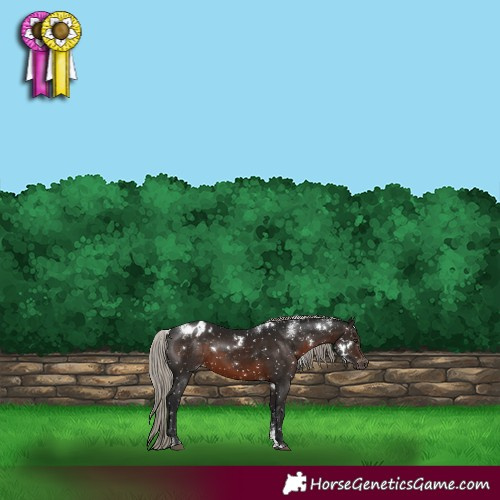 Horse Color:Powder White Gray White Spotted Silver Brown Snowflake Varnish 