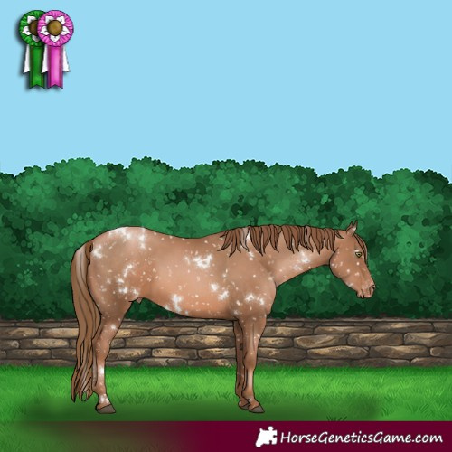 Horse Color:White Spotted Liver Chestnut Pearl Snowflake Varnish 