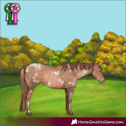 Horse Color:White Spotted Liver Chestnut Pearl Snowflake Varnish