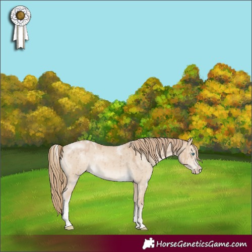 Horse Color:Powder White Smoky Creme Dun Tobiano Frame Brindle 