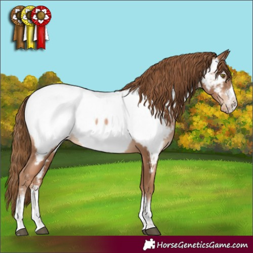 Horse Color:Liver Chestnut Pearl Near Fewspot Rabicano