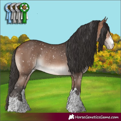 Horse Color:Bay Mushroom Snowflake VarnishRabicano 