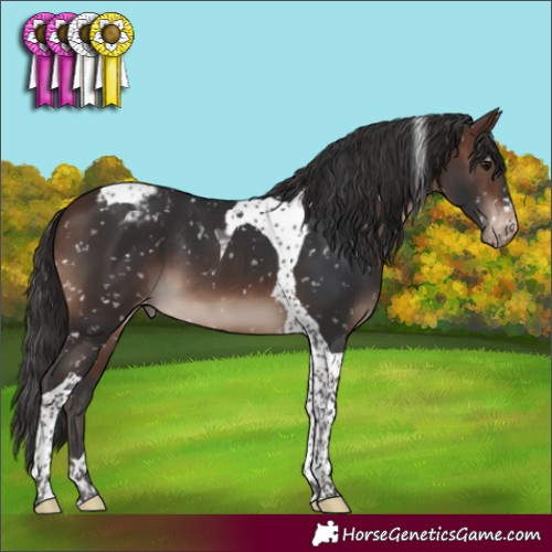 Horse Color:Brown Mushroom Tobiano Blanket 