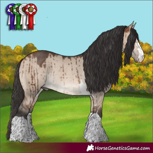 Horse Color:Bay Dun Mushroom Rabicano Brindle 