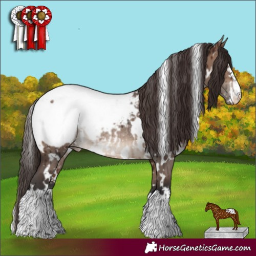 Horse Color:White Spotted Brown Dun Mushroom Snowcap Rabicano Brindle 