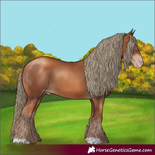 Horse Color:Gray Gold Champagne Mushroom