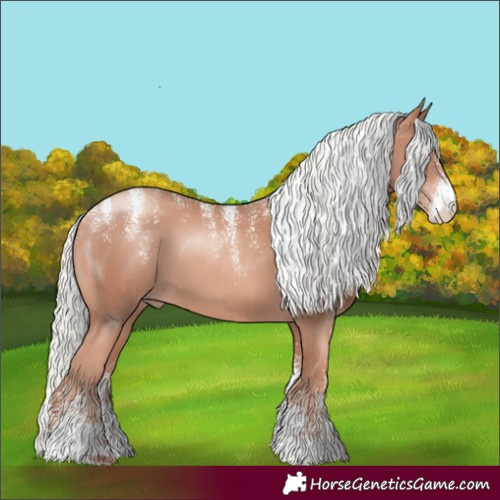 Horse Color:Powder White Gold Champagne Mushroom