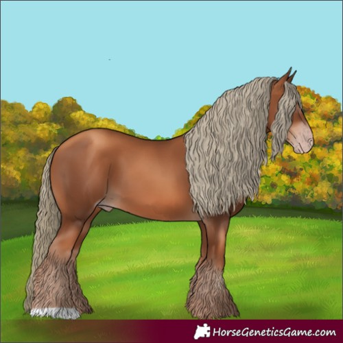 Horse Color:Gray Gold Champagne Mushroom 