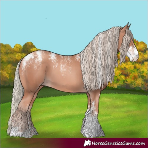 Horse Color:Powder White Gold Champagne Mushroom