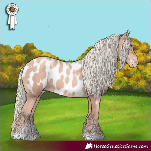 Horse Color:Powder White Gold Champagne Mushroom Near Leopard 