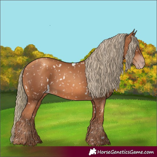 Horse Color:Gray White Spotted Gold Champagne Mushroom Snowflake Varnish 