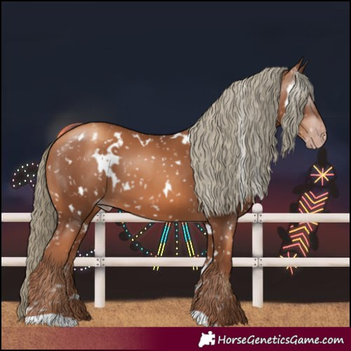 Horse Color:Gray White Spotted Gold Champagne Mushroom Snowflake Varnish 