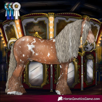 Horse Color:Gray White Spotted Gold Champagne Mushroom Snowflake Varnish