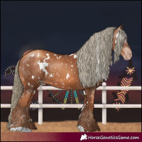 Horse Color:Gray White Spotted Gold Champagne Mushroom Snowflake Varnish 