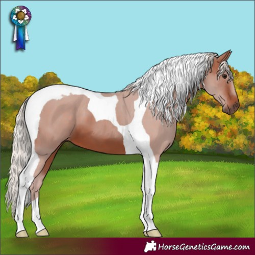 Horse Color:Silver Brown Tobiano