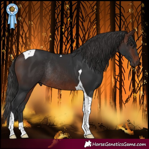 Horse Color:Brown Tobiano Rabicano