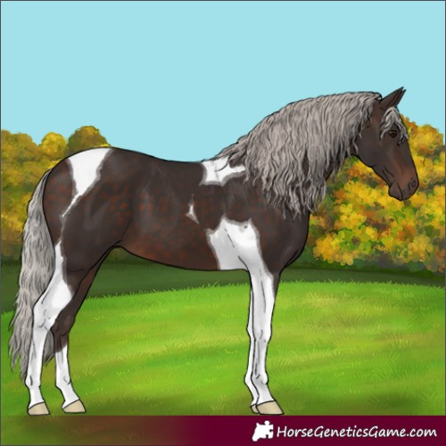 Horse Color:Silver Brown Tobiano 