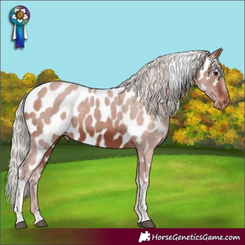 Horse Color:Silver Brown Tobiano Near Leopard 