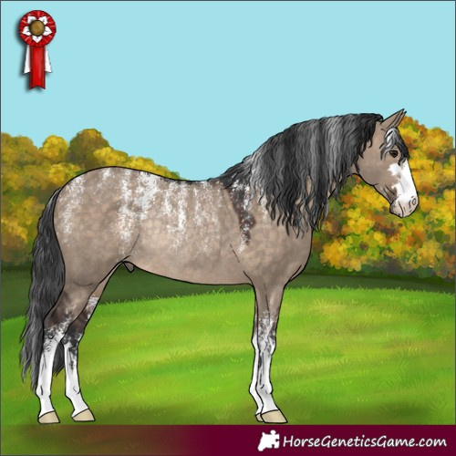 Horse Color:Powder White Brown Dun Rabicano 