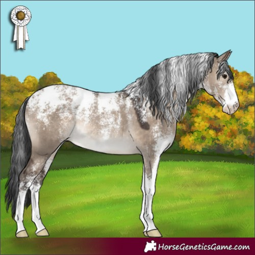Horse Color:Powder White Brown Dun Rabicano 