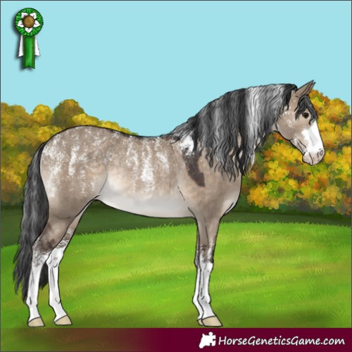 Horse Color:Powder White Brown Dun Rabicano