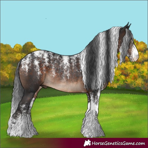 Horse Color:Powder White Brown Rabicano