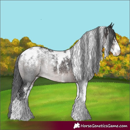 Horse Color:Powder White Platinum Brown Rabicano 