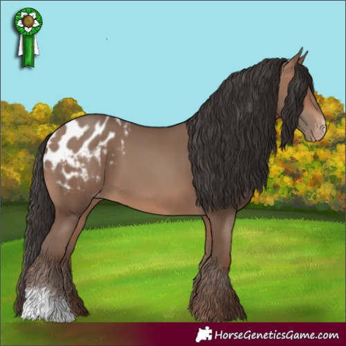 Horse Color:Sable Champagne Sabino Blanket 