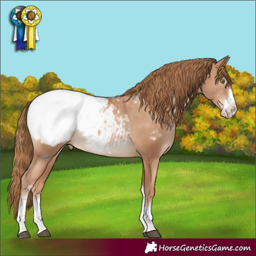Horse Color:Chestnut Pearl Snowcap 