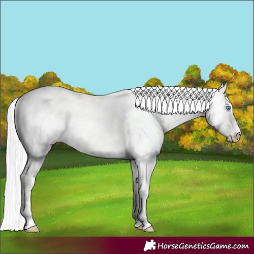 Horse Color:Silver Smoky Creme Dun 