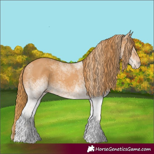 Horse Color:White Spotted Chestnut