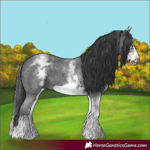 Horse Color:White Spotted Black Sabino Frame