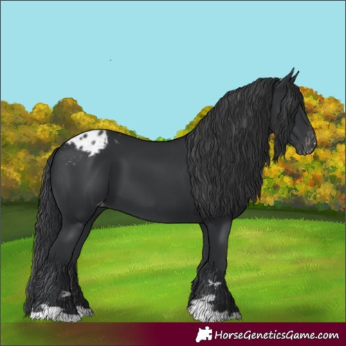 Horse Color:Black Varnish