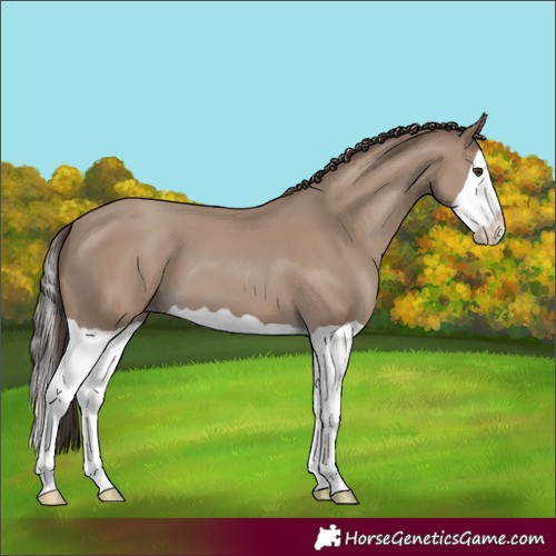 Horse Color:Classic Champagne Splash 
