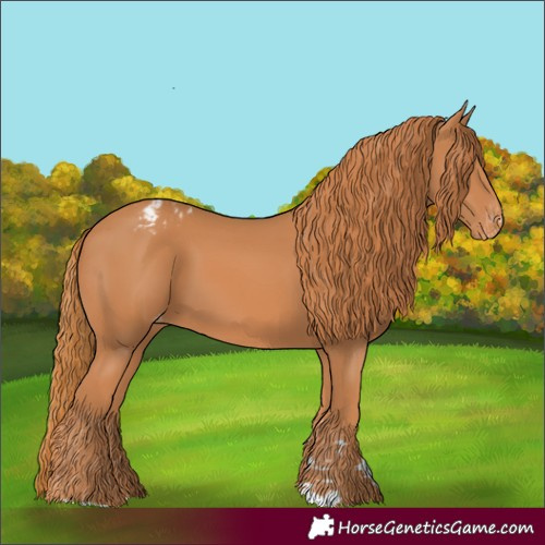 Horse Color:Chestnut Varnish 