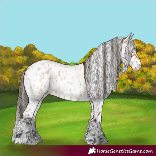Horse Color:Bay Roan Leopard