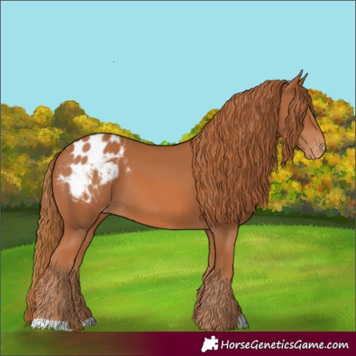 Horse Color:Chestnut Blanket 