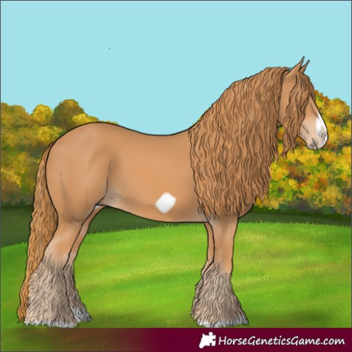 Horse Color:Chestnut Splash Frame