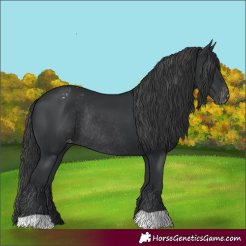 Horse Color:Black Varnish Rabicano 
