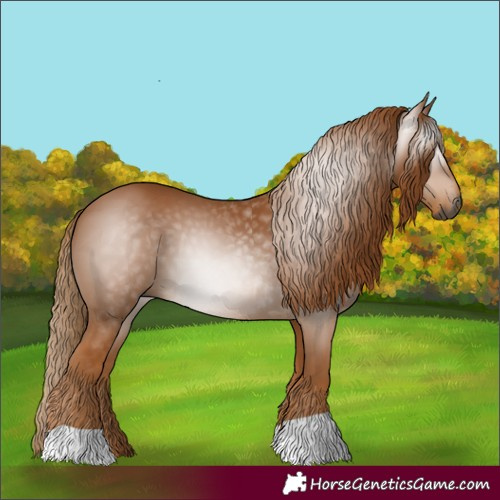 Horse Color:Gray Chestnut