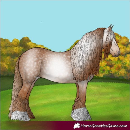 Horse Color:Gray Chestnut 